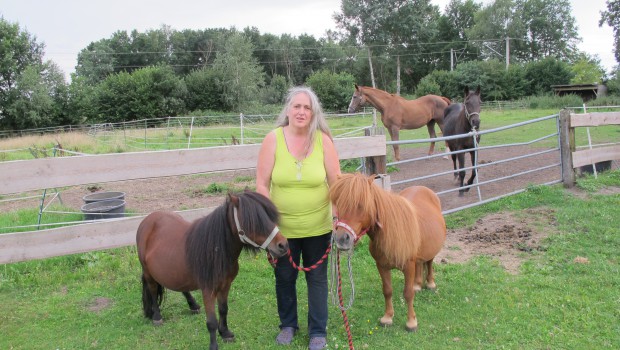 Arpke bei Peine: Neues Zuhause für vernachlässigte Pferde