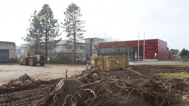 Busbahnhof für die IGS am Gifhorner Lehmweg: Ende Mai sollen die Bauarbeiten beginnen