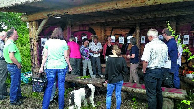 Bürgerwald in Salzgitter-Thiede wächst und gedeiht