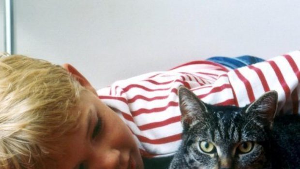 Kinder lesen Katzen vor: Neues Projekt des Gifhorner Tierschutzvereins