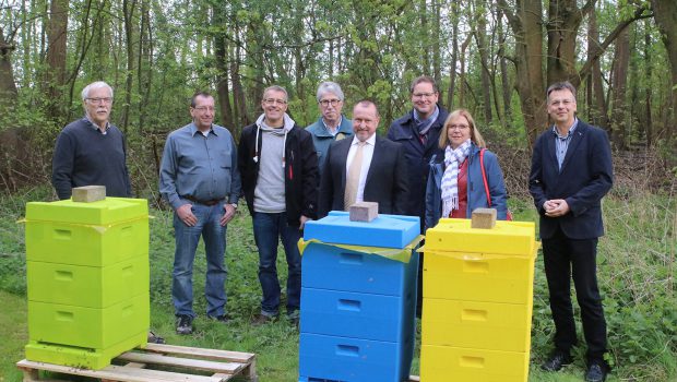 Bienenhaltung im Naturgarten in Salzgitter-Ringelheim