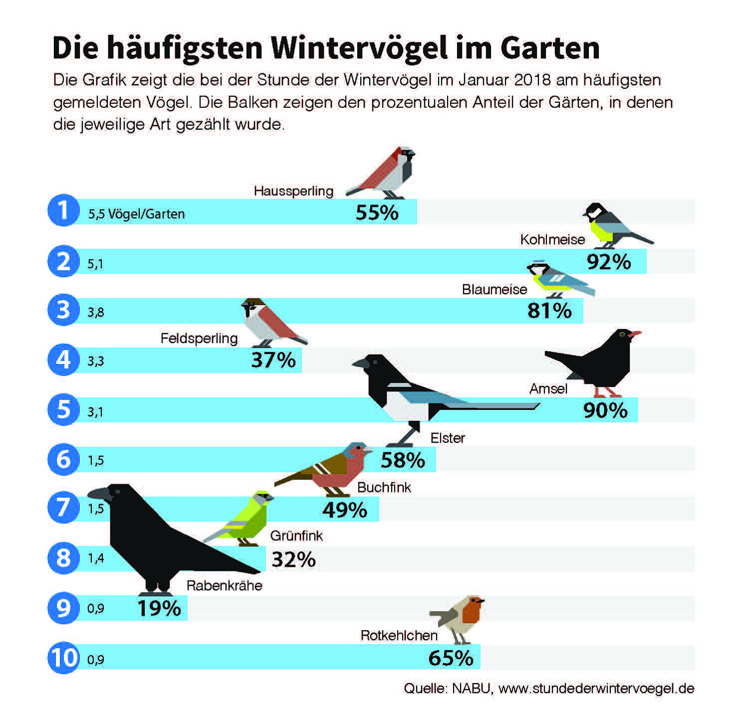 Die häufigsten Wintervögel im Garten Hallo Wochenende