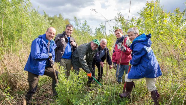 Es tut sich was im Bürgerwald in Salzgitter-Thiede