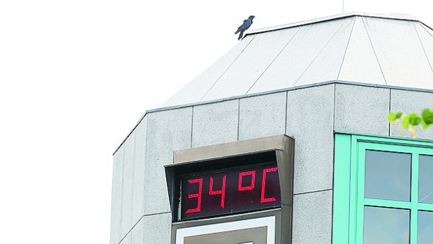 36,5 Grad: Dienstag war einer der heißesten Tage in Wolfsburg