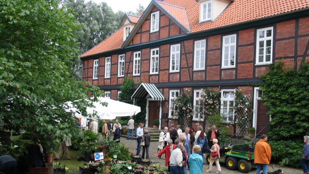 Garten-Event in Wienhausen: Pflanzen, Lifestyle und mehr