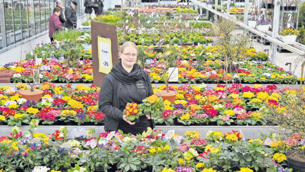 Am kommenden Wochenende erste Aktionstage bei ARKADIA in Arpke