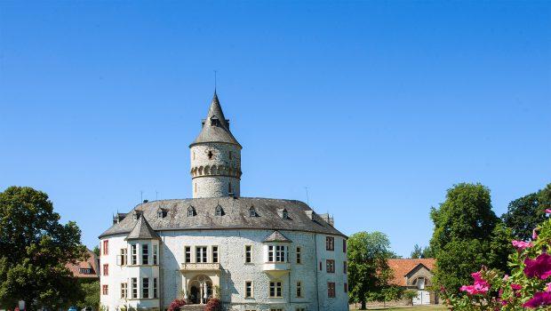 50 Händler kommen zur Antiquitätenschau ins Schloss Oelber
