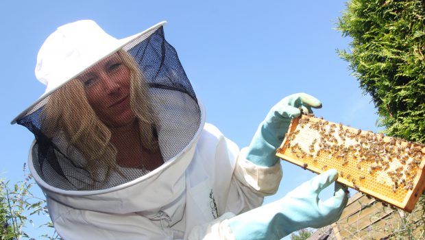 Für Bienenfreundlichkeit in Salzgitter