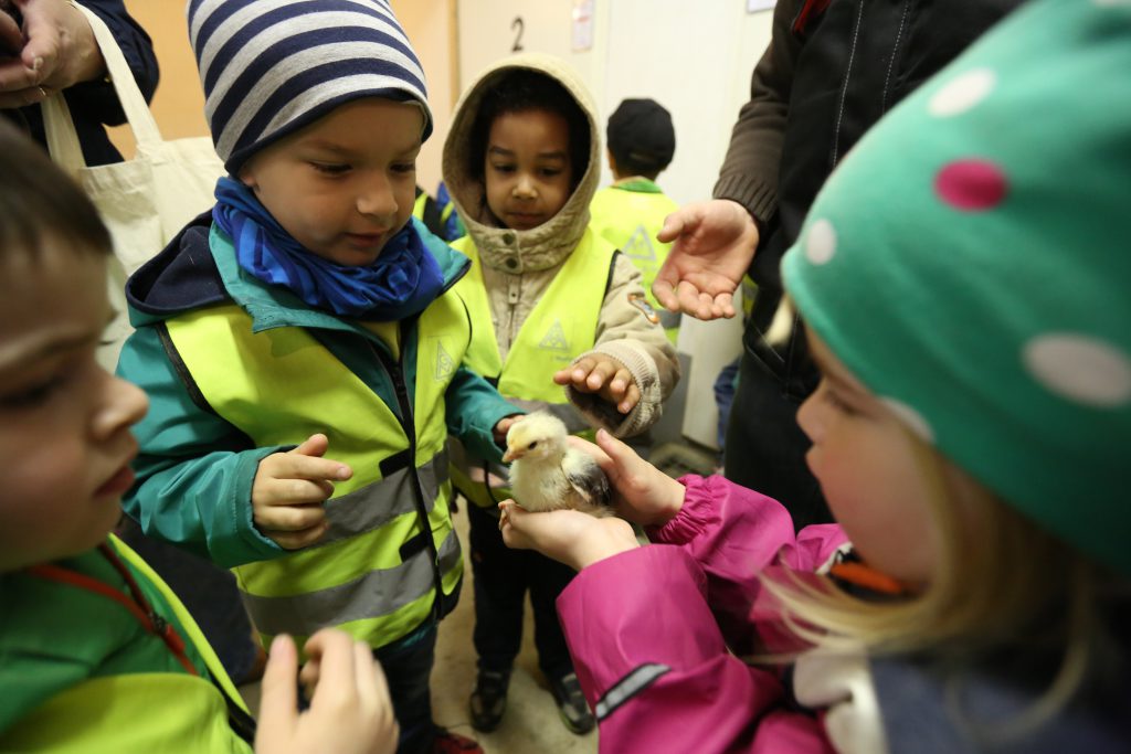 Christlich-muslimische Kita in Gifhorn: Die Planungen laufen - Hallo