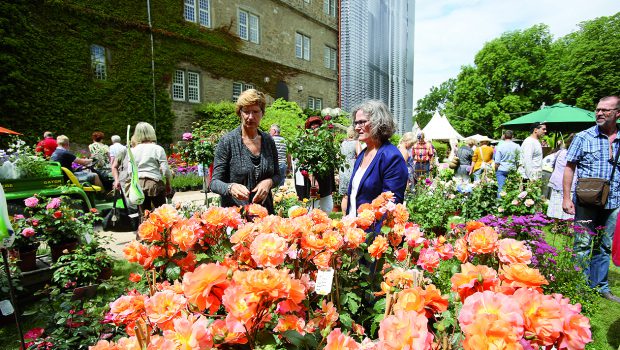 Wolfsburg: Veranstalter sagt beliebte Gartenmessen ab