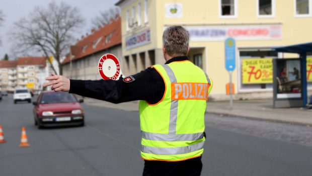 Auf der Suche nach Gurtmuffeln in Salzgitter