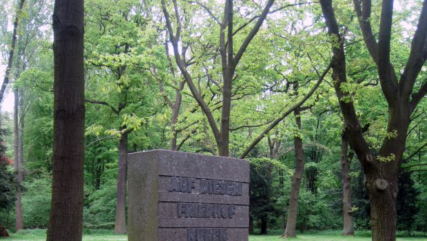 Arbeitskreis führt über den Friedhof Westenholz in Salzgitter
