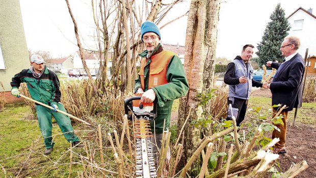 Frühjahrskur für Hecken und Bäume in Salzgitter