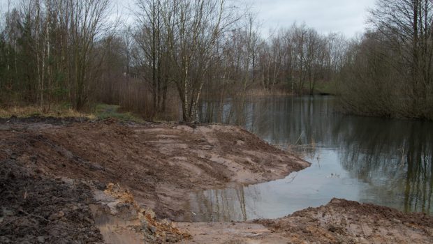 Gifhorn: Flachwasserzone für größere Artenvielfalt