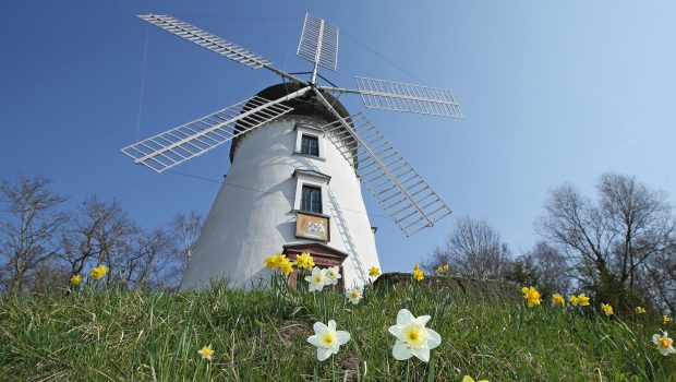 Ein Trau-Rekord wird angepeilt