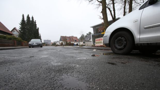 Frost? Nicht mehr Schäden als in anderen Wintern