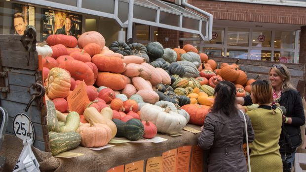 Der Herbst zeigt sich in Salzgitter in seiner schönsten Pracht