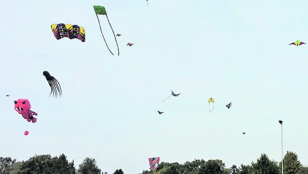 Peiner Land: An diesem Sonntag Drachenfest in Bierbergen