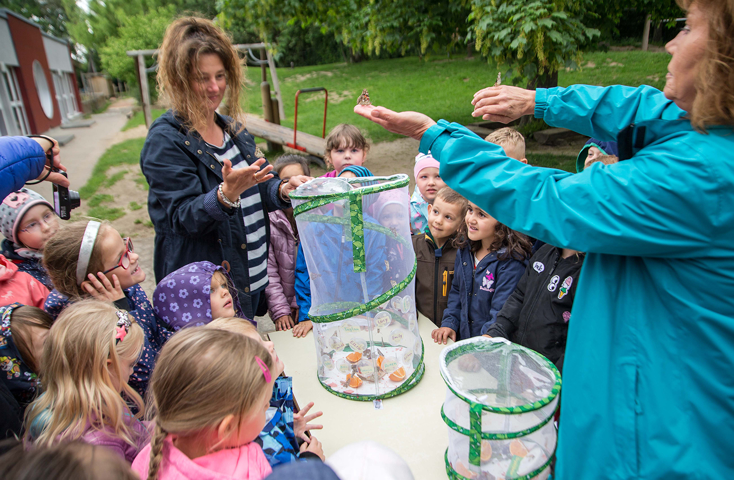  Wunder der Natur im Kindergarten in Salzgitter - Hallo Wochenende 