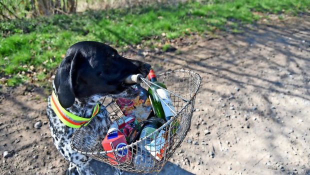 Salzgitter: Der kleine Frühjahrsputz in der Corona-Krise