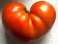 Herztomate_NadineFischer