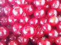 Johannisbeeren_KatjaHancken