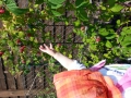 MarinaAxmann_Malina will Himbeeren